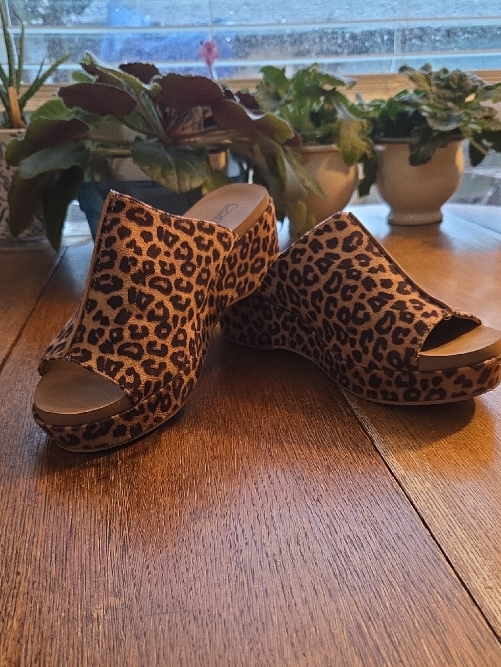 Leopard Print Wedge Slide Sandals - Women's Open Toe